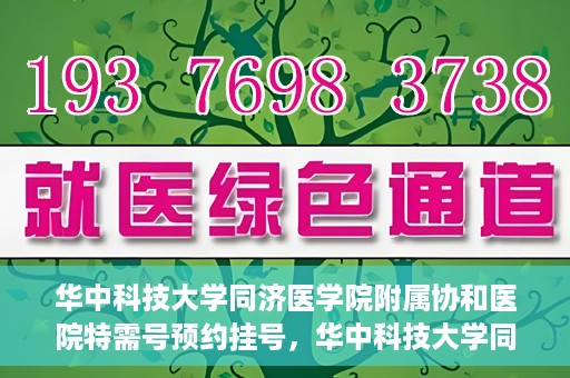 华中科技大学同济医学院附属协和医院特需号预约挂号，华中科技大学同济医学院附属协和医院特需号预约挂号服务详解