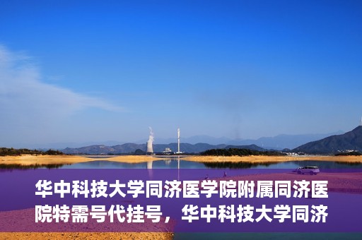 华中科技大学同济医学院附属同济医院特需号代挂号，华中科技大学同济医院特需号代挂号服务解析
