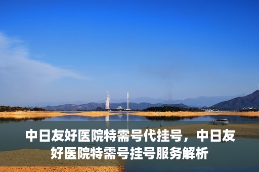中日友好医院特需号代挂号，中日友好医院特需号挂号服务解析