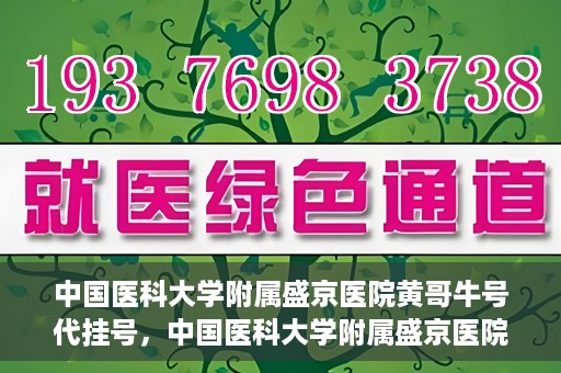 中国医科大学附属盛京医院黄哥牛号代挂号，中国医科大学附属盛京医院黄哥牛号代挂号背后的故事与真相揭秘
