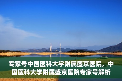 专家号中国医科大学附属盛京医院，中国医科大学附属盛京医院专家号解析