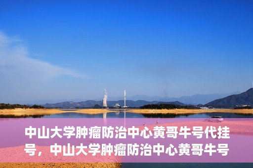 中山大学肿瘤防治中心黄哥牛号代挂号，中山大学肿瘤防治中心黄哥牛号助您轻松预约挂号！