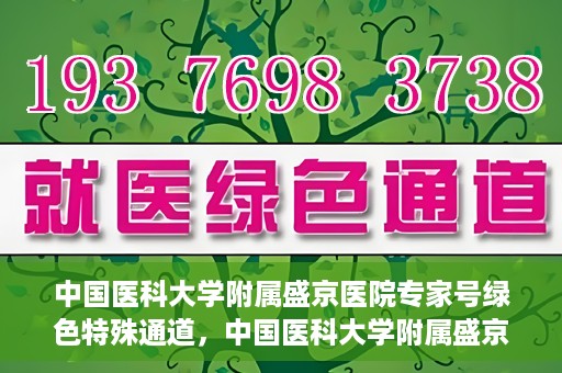 中国医科大学附属盛京医院专家号绿色特殊通道，中国医科大学附属盛京医院专家号绿色特殊通道，高效就医新选择