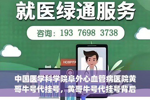 中国医学科学院阜外心血管病医院黄哥牛号代挂号，黄哥牛号代挂号背后的故事，阜外心血管病医院的探索与挑战