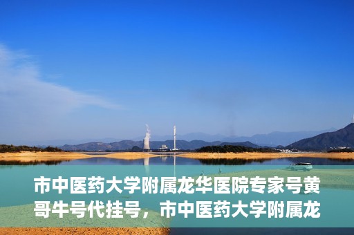市中医药大学附属龙华医院专家号黄哥牛号代挂号，市中医药大学附属龙华医院专家黄哥牛号代挂号攻略