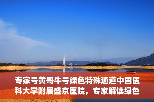 专家号黄哥牛号绿色特殊通道中国医科大学附属盛京医院，专家解读绿色特殊通道，盛京医院黄哥牛号背后的故事