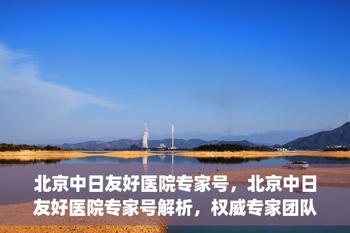 北京中日友好医院专家号，北京中日友好医院专家号解析，权威专家团队深度解读健康疑难杂症之道