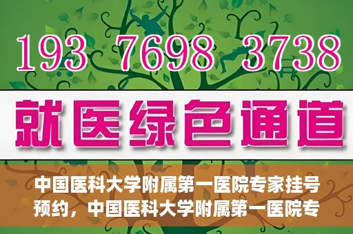 中国医科大学附属第一医院专家挂号预约，中国医科大学附属第一医院专家挂号预约攻略，一站式解决您的就医难题
