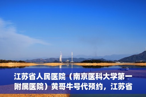 江苏省人民医院（南京医科大学第一附属医院）黄哥牛号代预约，江苏省人民医院（南京医科大学第一附属医院）黄哥牛号预约服务解析