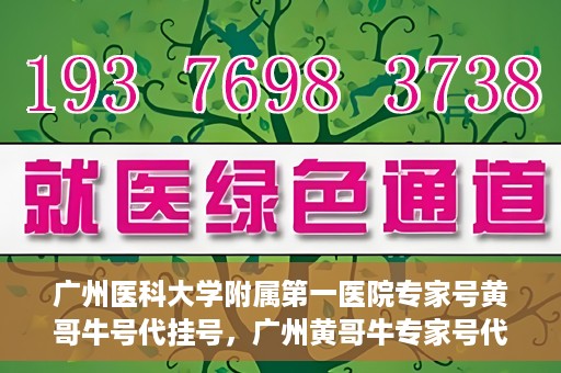 广州医科大学附属第一医院专家号黄哥牛号代挂号，广州黄哥牛专家号代挂号服务解析，专业医疗资源的便捷获取之道