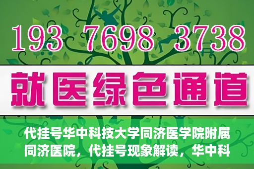 代挂号华中科技大学同济医学院附属同济医院，代挂号现象解读，华中科技大学同济医学院附属同济医院的医疗管理与挑战
