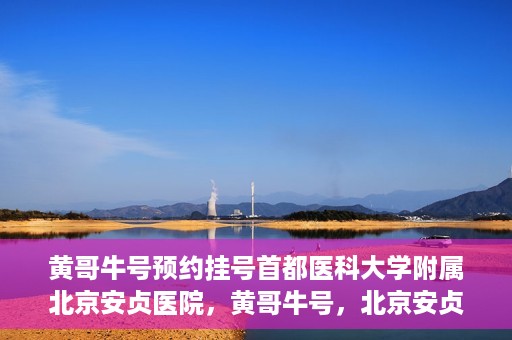 黄哥牛号预约挂号首都医科大学附属北京安贞医院，黄哥牛号，北京安贞医院预约挂号攻略