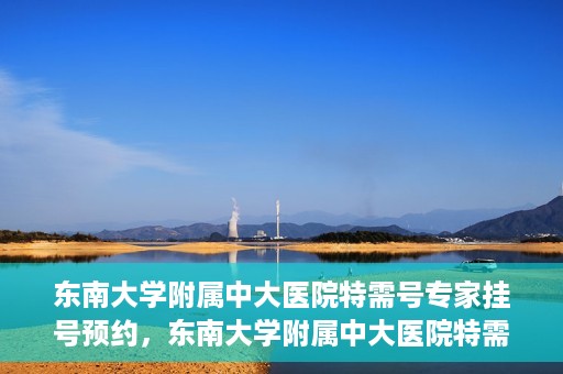 东南大学附属中大医院特需号专家挂号预约，东南大学附属中大医院特需号专家挂号预约攻略与指南
