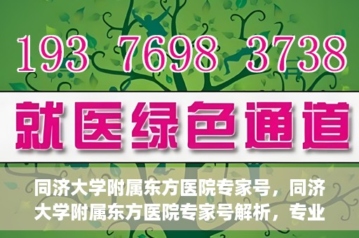 同济大学附属东方医院专家号，同济大学附属东方医院专家号解析，专业医疗服务的深度解读