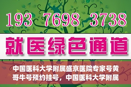 中国医科大学附属盛京医院专家号黄哥牛号预约挂号，中国医科大学附属盛京医院专家黄哥牛号预约挂号攻略