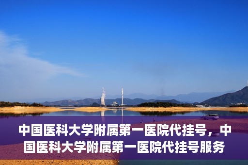 中国医科大学附属第一医院代挂号，中国医科大学附属第一医院代挂号服务详解