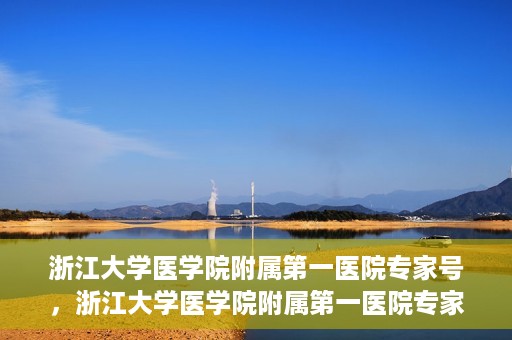 浙江大学医学院附属第一医院专家号，浙江大学医学院附属第一医院专家号解析，权威医疗团队与尖端诊疗技术共筑健康防线