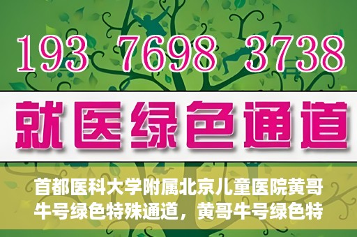 首都医科大学附属北京儿童医院黄哥牛号绿色特殊通道，黄哥牛号绿色特殊通道——北京儿童医院创新医疗服务的探索与实践