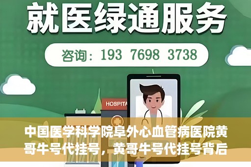 中国医学科学院阜外心血管病医院黄哥牛号代挂号，黄哥牛号代挂号背后的故事，阜外心血管病医院的探索与挑战