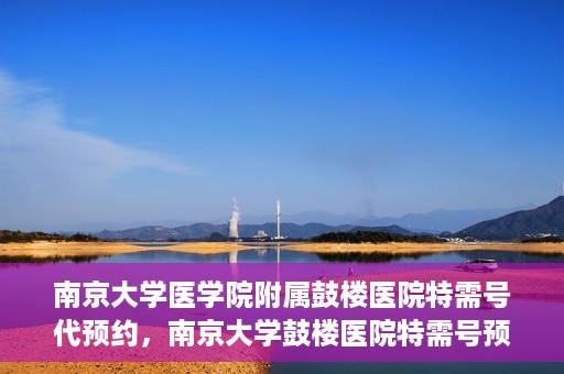 南京大学医学院附属鼓楼医院特需号代预约，南京大学鼓楼医院特需号预约服务解析