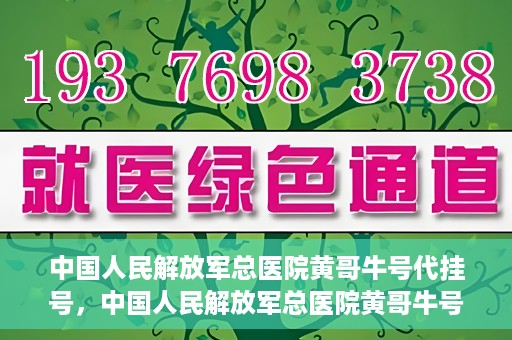 中国人民解放军总医院黄哥牛号代挂号，中国人民解放军总医院黄哥牛号代挂号解析，揭秘挂号背后的故事