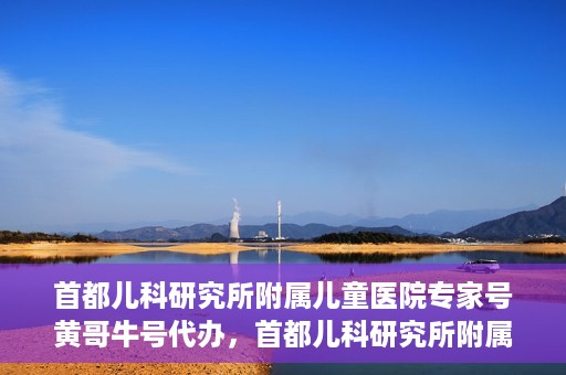首都儿科研究所附属儿童医院专家号黄哥牛号代办，首都儿科研究所附属儿童医院专家号‘黄哥牛号’预约代办服务解析