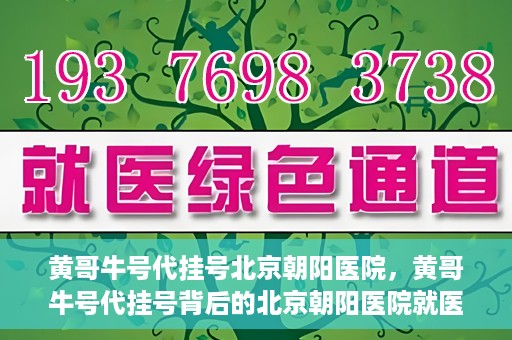 黄哥牛号代挂号北京朝阳医院，黄哥牛号代挂号背后的北京朝阳医院就医现象观察