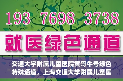 交通大学附属儿童医院黄哥牛号绿色特殊通道，上海交通大学附属儿童医院黄哥牛号绿色特殊通道揭秘