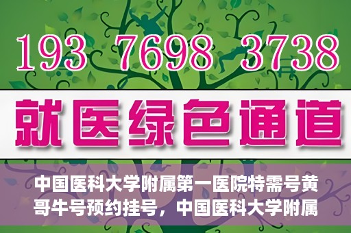 中国医科大学附属第一医院特需号黄哥牛号预约挂号，中国医科大学附属第一医院特需号黄哥牛号预约挂号攻略