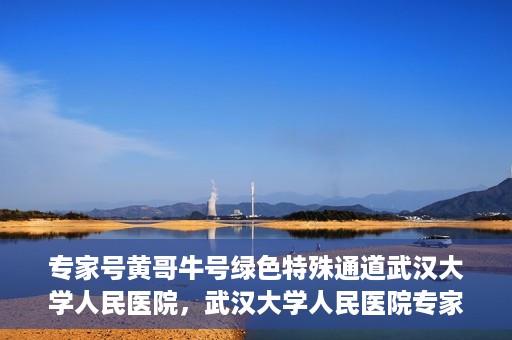 专家号黄哥牛号绿色特殊通道武汉大学人民医院，武汉大学人民医院专家号黄哥牛号绿色特殊通道揭秘