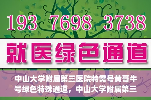 中山大学附属第三医院特需号黄哥牛号绿色特殊通道，中山大学附属第三医院特需号黄哥牛号绿色通道，专业医疗服务的特殊通道探索