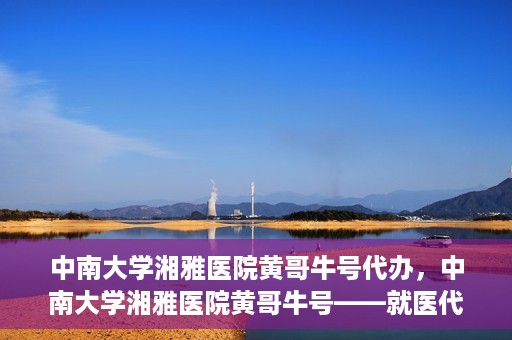 中南大学湘雅医院黄哥牛号代办，中南大学湘雅医院黄哥牛号——就医代办服务详解
