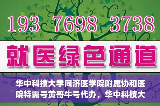 华中科技大学同济医学院附属协和医院特需号黄哥牛号代办，华中科技大学同济医学院附属协和医院特需号专家预约代办服务解析