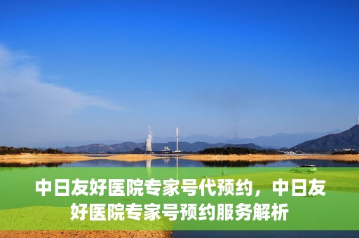 中日友好医院专家号代预约，中日友好医院专家号预约服务解析