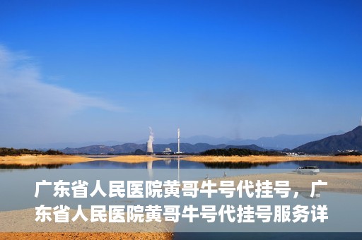 广东省人民医院黄哥牛号代挂号，广东省人民医院黄哥牛号代挂号服务详解