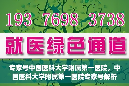 专家号中国医科大学附属第一医院，中国医科大学附属第一医院专家号解析，权威医疗团队引领健康新篇章