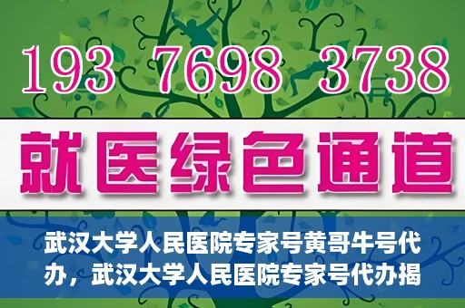 武汉大学人民医院专家号黄哥牛号代办，武汉大学人民医院专家号代办揭秘，黄哥牛号背后的故事
