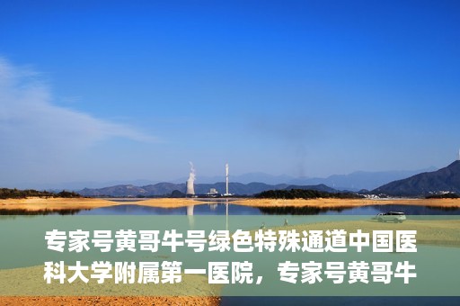 专家号黄哥牛号绿色特殊通道中国医科大学附属第一医院，专家号黄哥牛号，中国医科大学附属第一医院开辟绿色特殊通道