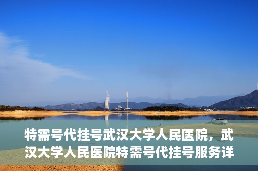 特需号代挂号武汉大学人民医院，武汉大学人民医院特需号代挂号服务详解