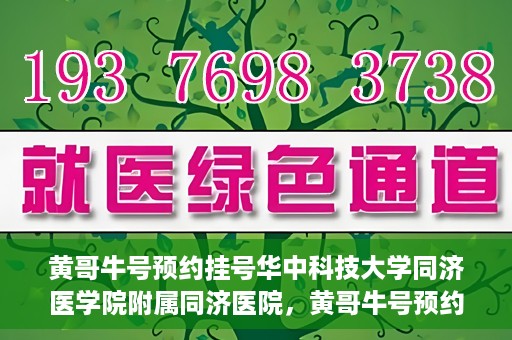 黄哥牛号预约挂号华中科技大学同济医学院附属同济医院，黄哥牛号预约挂号服务，华中科技大学同济医学院附属同济医院便捷就医新体验