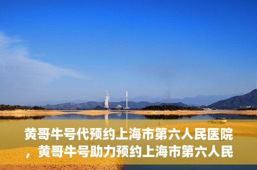 黄哥牛号代预约上海市第六人民医院，黄哥牛号助力预约上海市第六人民医院服务