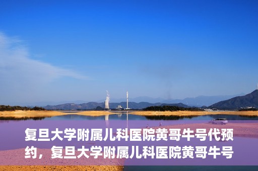 复旦大学附属儿科医院黄哥牛号代预约，复旦大学附属儿科医院黄哥牛号预约服务解析