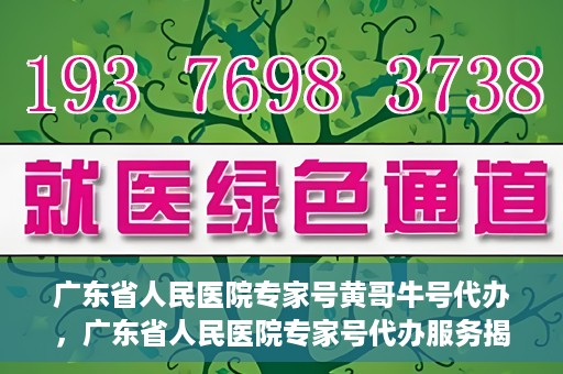 广东省人民医院专家号黄哥牛号代办，广东省人民医院专家号代办服务揭秘，黄哥牛号助您轻松预约专家号