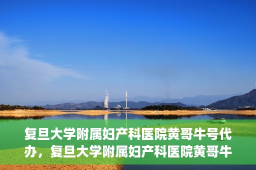 复旦大学附属妇产科医院黄哥牛号代办，复旦大学附属妇产科医院黄哥牛号代办，专业医疗服务的信誉之选