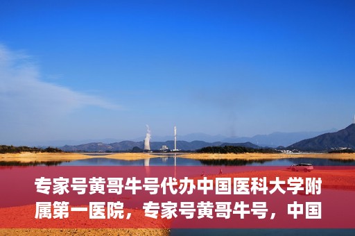 专家号黄哥牛号代办中国医科大学附属第一医院，专家号黄哥牛号，中国医科大学附属第一医院代办服务详解