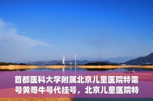 首都医科大学附属北京儿童医院特需号黄哥牛号代挂号，北京儿童医院特需号专家黄哥牛号代挂号服务解析