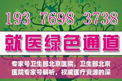 专家号卫生部北京医院，卫生部北京医院专家号解析，权威医疗资源的深度解读
