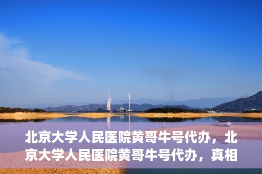 北京大学人民医院黄哥牛号代办，北京大学人民医院黄哥牛号代办，真相揭秘与深度解读