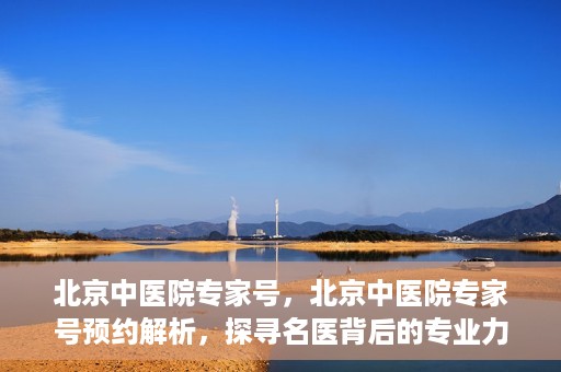 北京中医院专家号，北京中医院专家号预约解析，探寻名医背后的专业力量