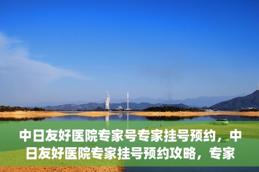 中日友好医院专家号专家挂号预约，中日友好医院专家挂号预约攻略，专家号预约详解